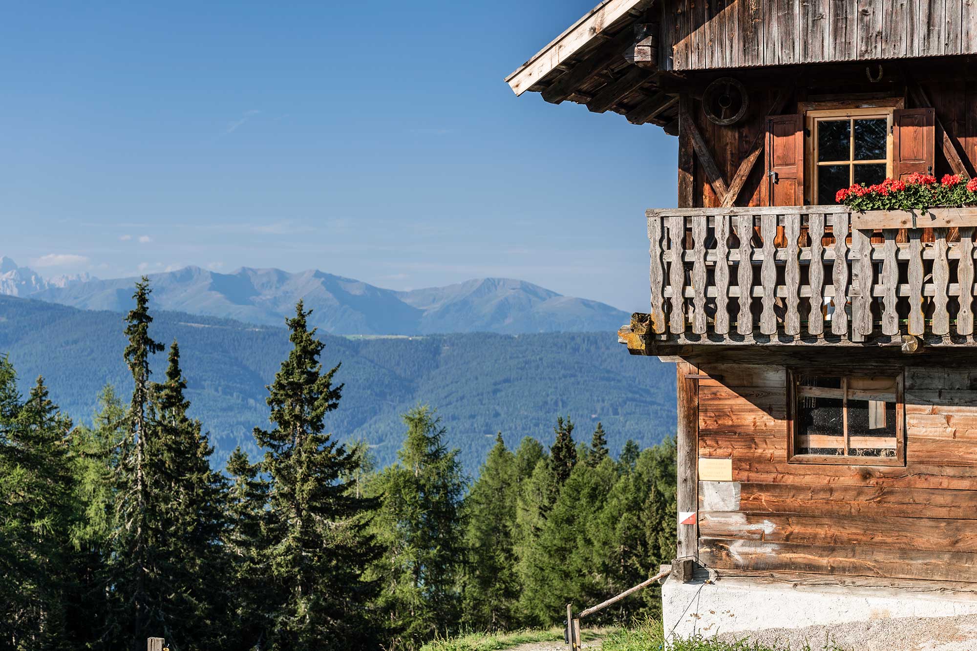 Malga "Pertinger Alm" in estate