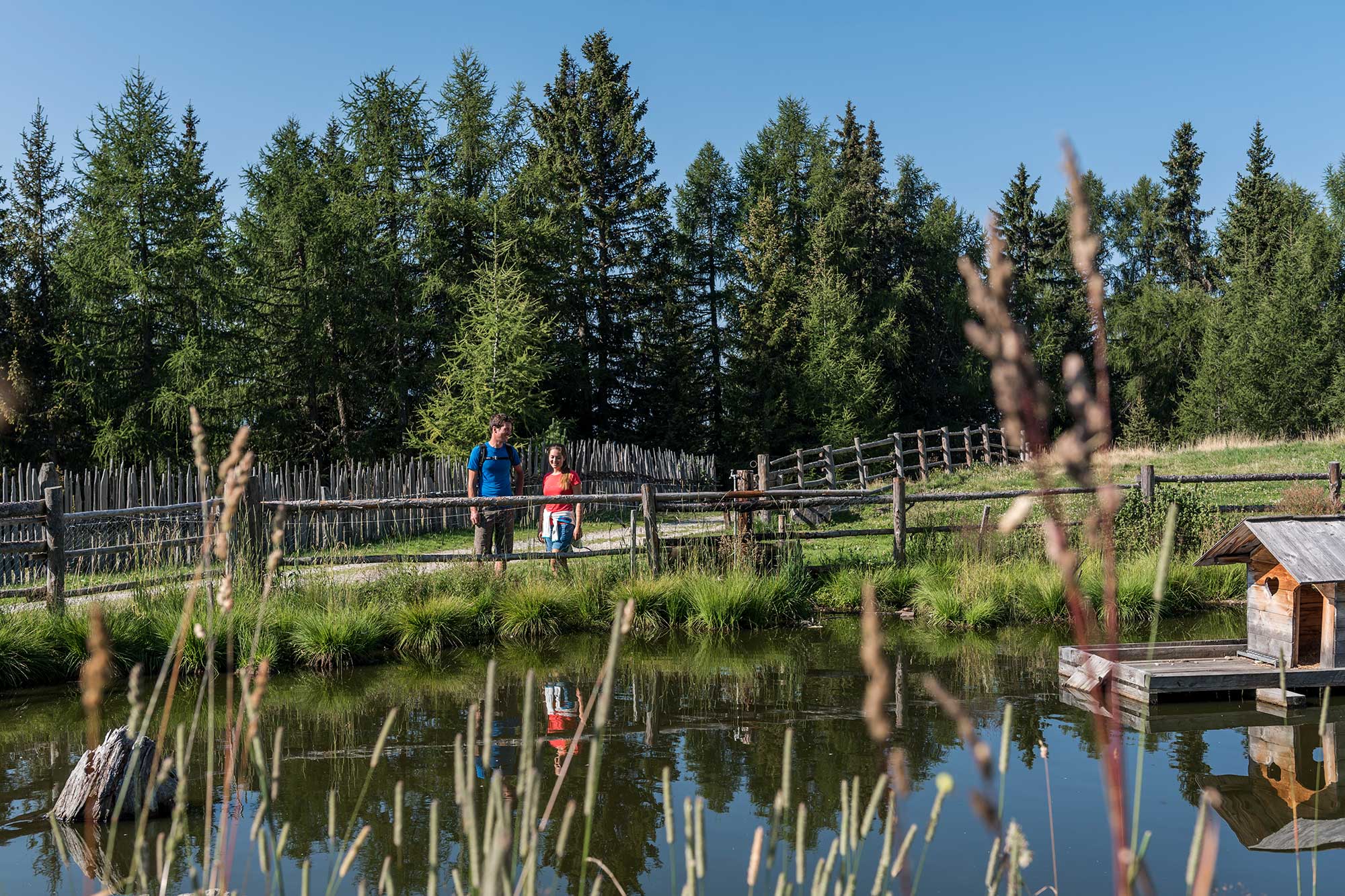 Malga Pertinger Alm - Lago